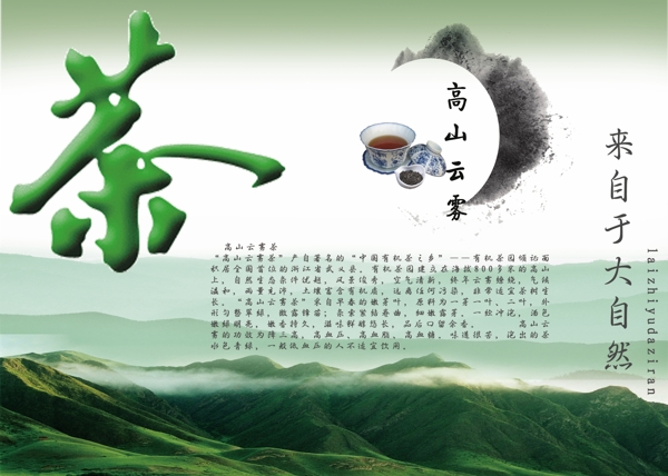 高山云霧茶