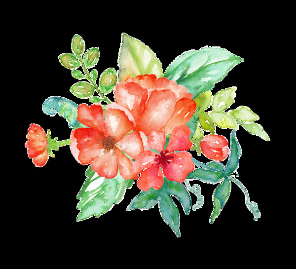 解放紅花透明素材