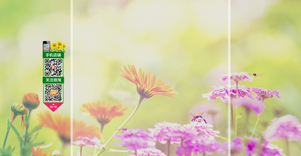 花背景
