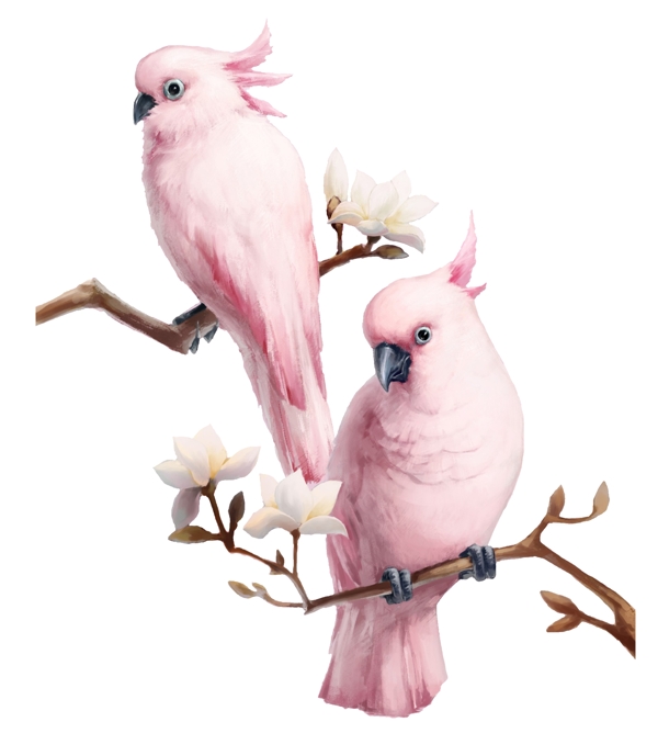 手繪鳥