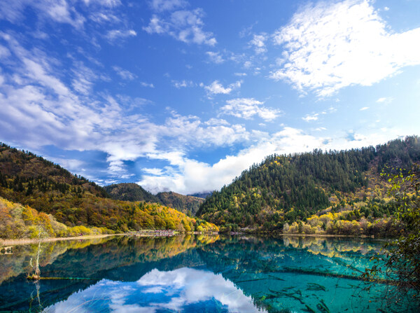 山林風(fēng)景