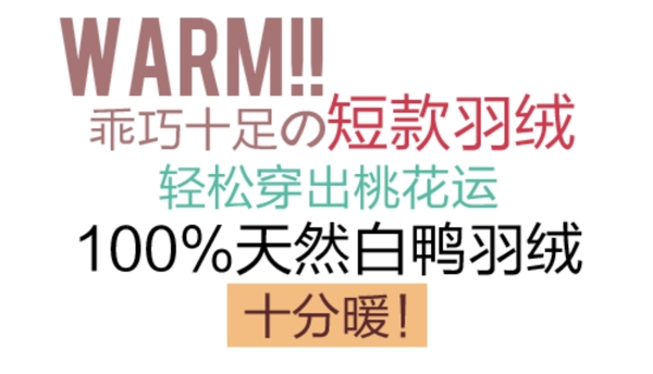 短款女装字体排版设计
