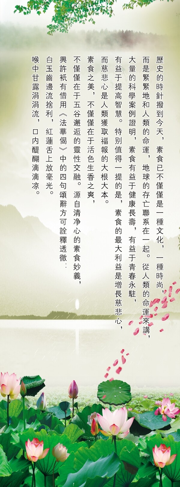 蓮花圖片