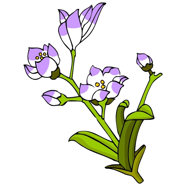 花卉古典插畫