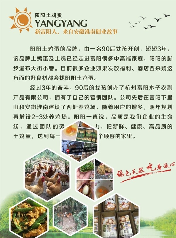 陽陽土雞蛋