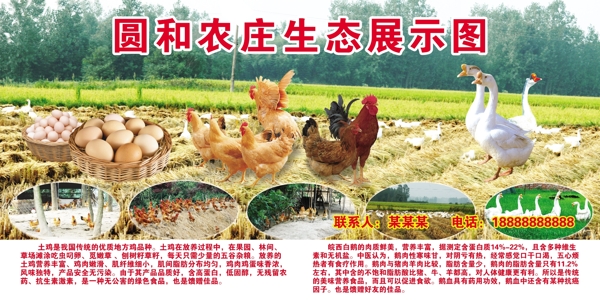 農(nóng)莊生態(tài)展示圖圖片