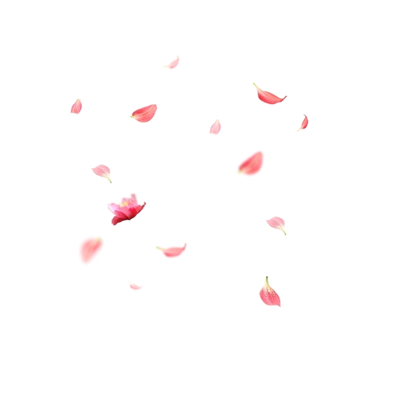 卡通漂浮的粉色花瓣下载