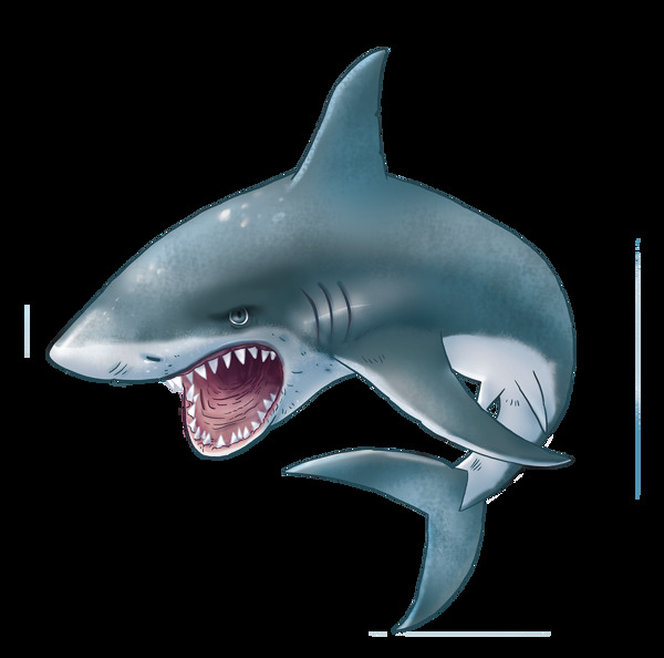 手绘凶恶的大鲨鱼免抠png透明图层素材