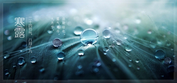 寒露節(jié)日海報(bào)設(shè)計(jì)