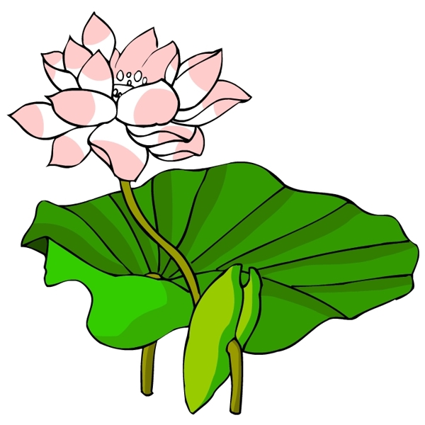 花卉古典插畫