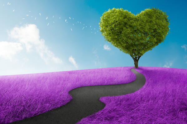 心形树与紫色草地图片