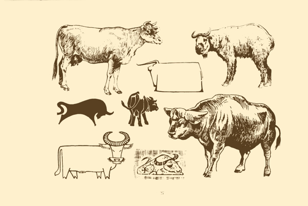 動物圖案牛圖片