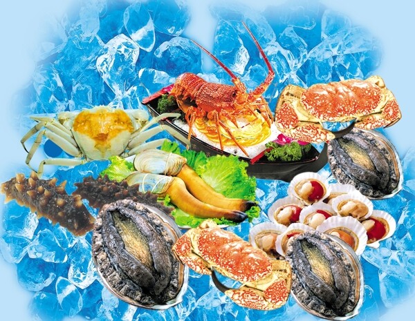 海鮮圖片