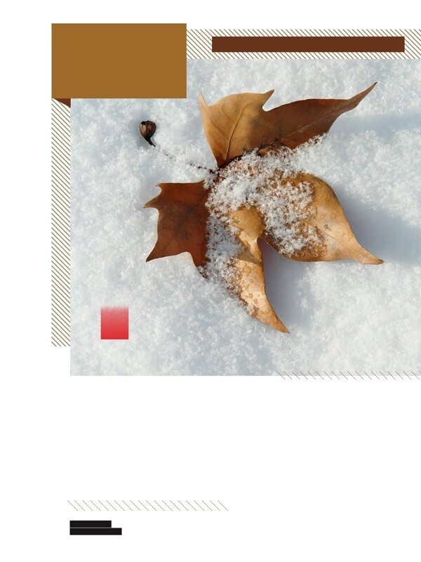冬季雪地枫叶海报背景模板设计