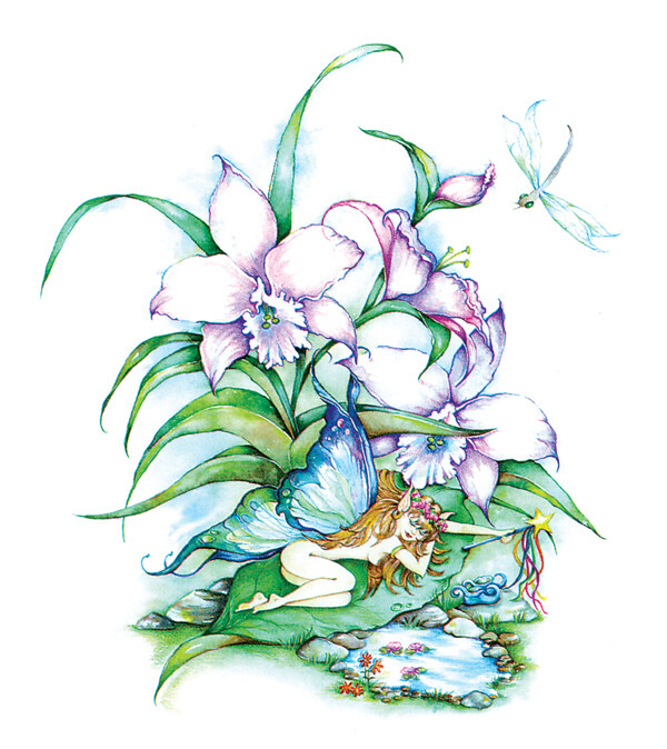 花仙子圖片