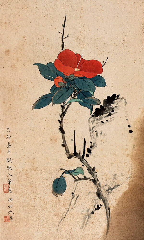 紅花綠葉圖片