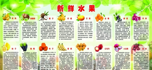 新鮮水果展板畫冊