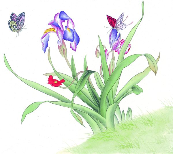 兰花蝴蝶绘画图片