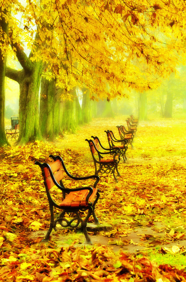 秋天公园风景摄影图片