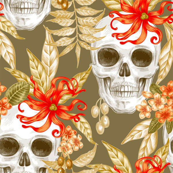 紅花和骷髏圖片
