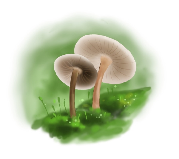 春天手绘蘑菇插画