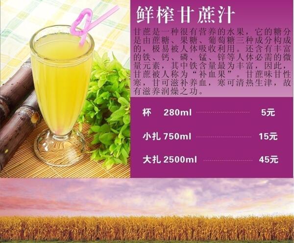 杯子圖片