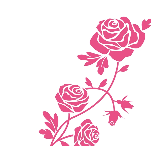 花朵圖圖片