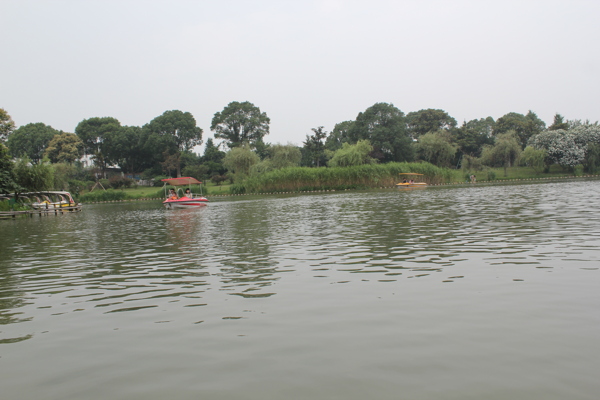 昆山亭林公園自然風景圖片