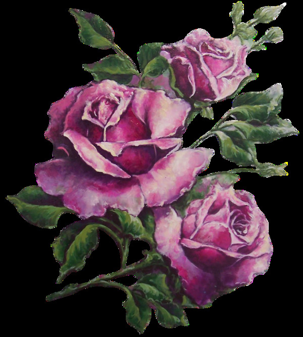 手绘逼真紫色玫瑰花png透明素材
