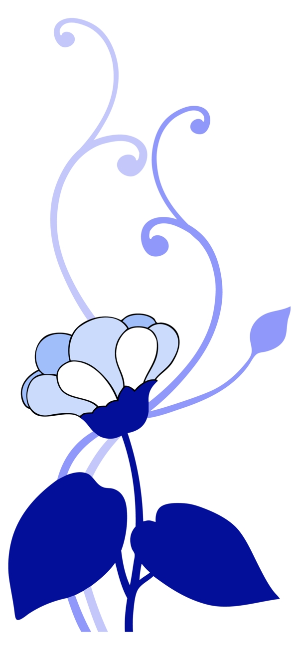 花朵花圖片