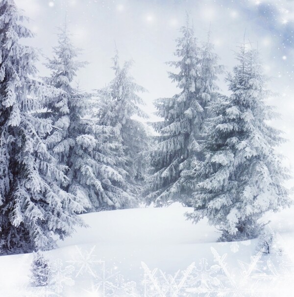 雪景圖片