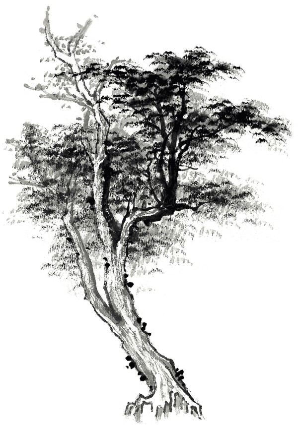 水墨樹圖片