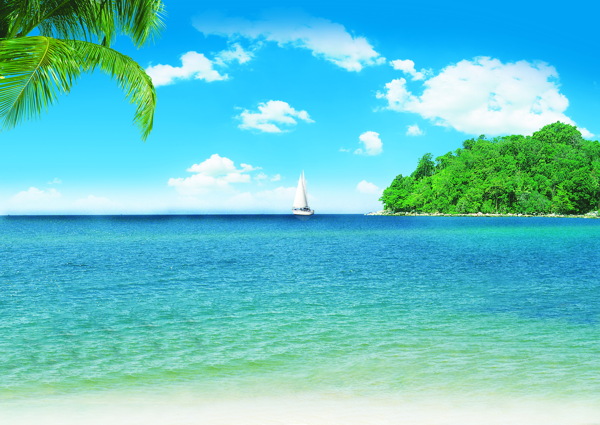 夏日海灘椰樹(shù)圖片