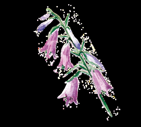 脆紫花枝透明装饰素材