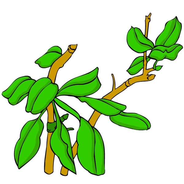 花卉古典插畫