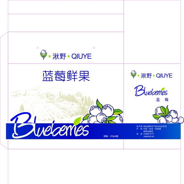 蓝莓包装箱图片