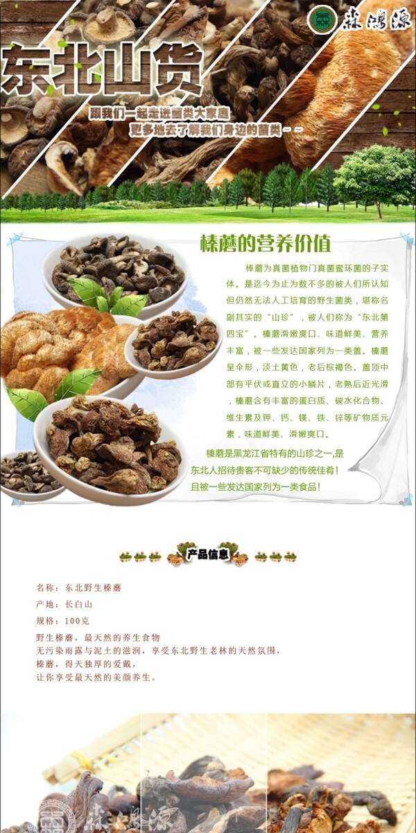野生榛菇詳情