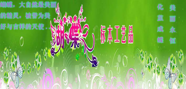 蝴蝶標(biāo)本工藝品設(shè)計(jì)一