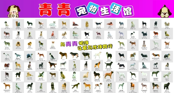 百犬圖