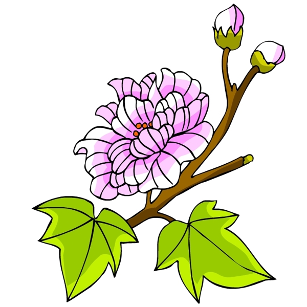 花卉古典插畫