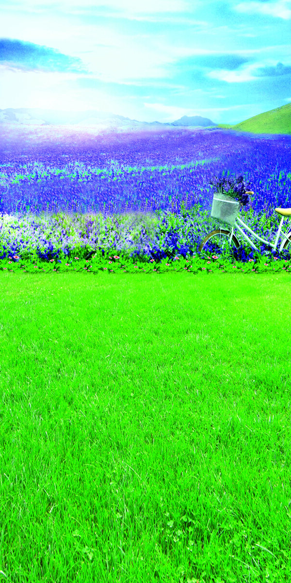 山野紫色鲜花风光影楼摄影背景图片