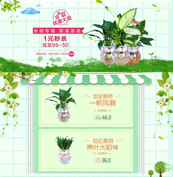 淘寶水培首頁