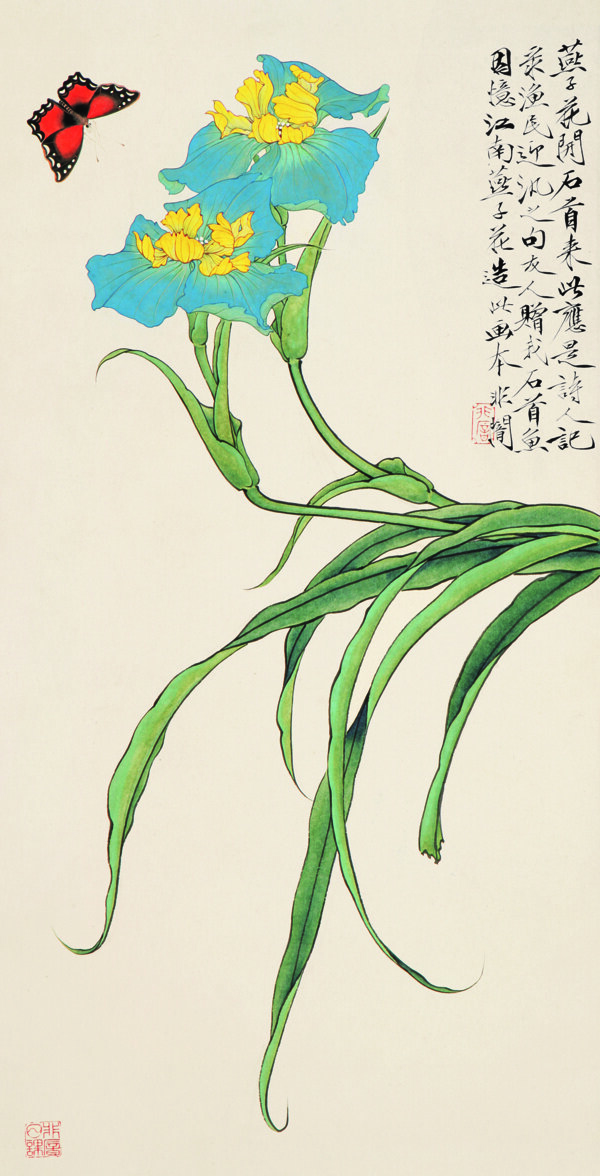 蘭花圖片