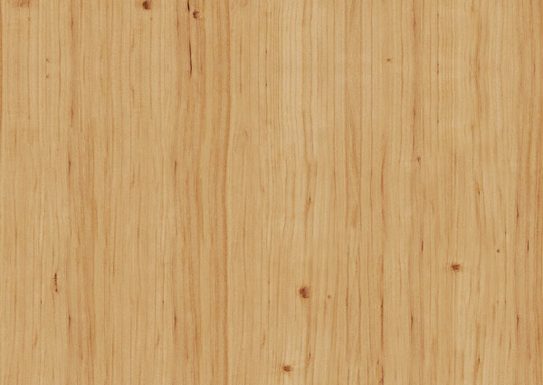 底紋
