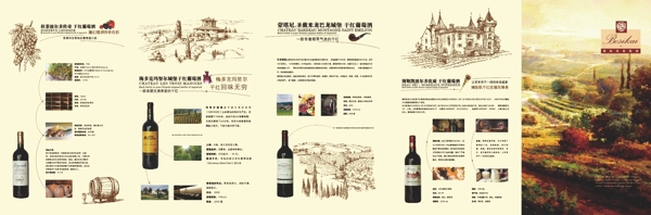 酒莊酒種宣傳畫冊