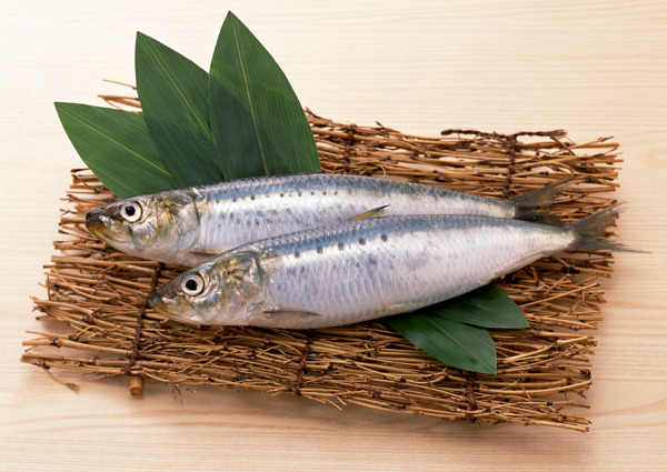 海鮮食材圖片