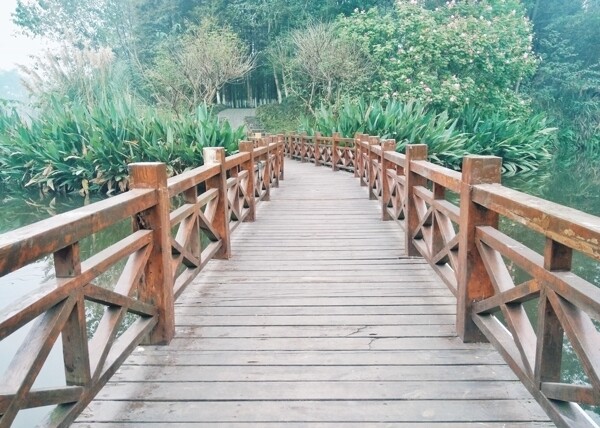 桥木桥路桤木河湿地公园