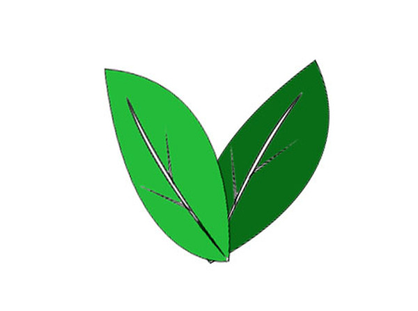 茶葉