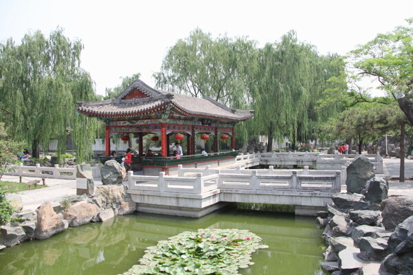 紅樓夢(mèng)大觀園圖片