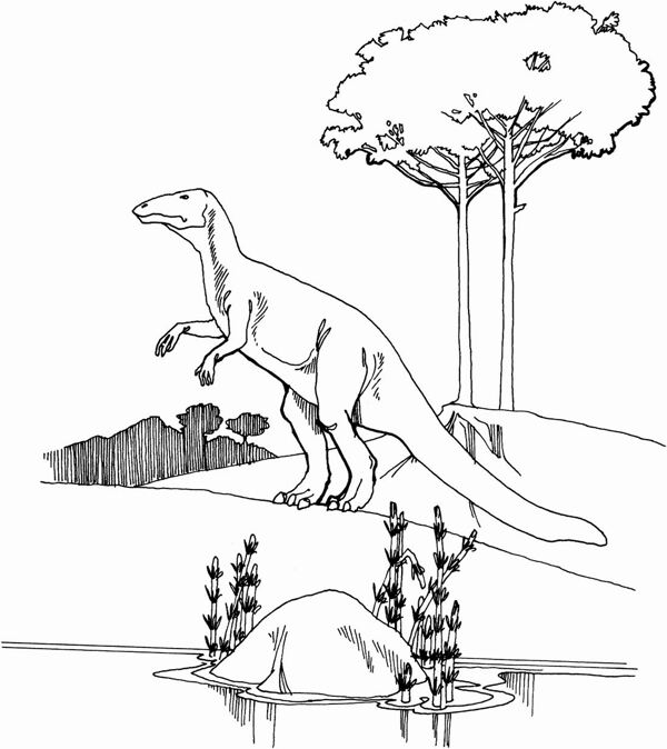 遠(yuǎn)古時代的動物恐龍手繪畫動物素描